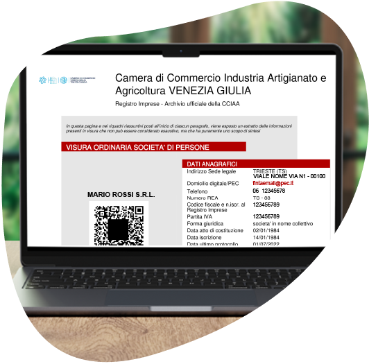 Visura camerale ordinaria